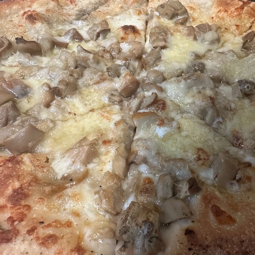 Funghi Porcini